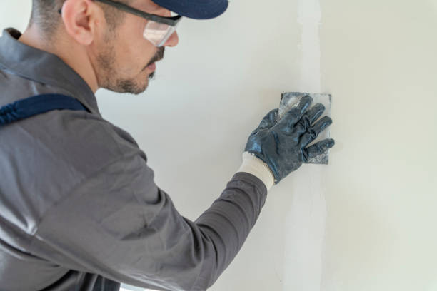 Best Drywall Sanding and Smoothing  in Overland Park, KS